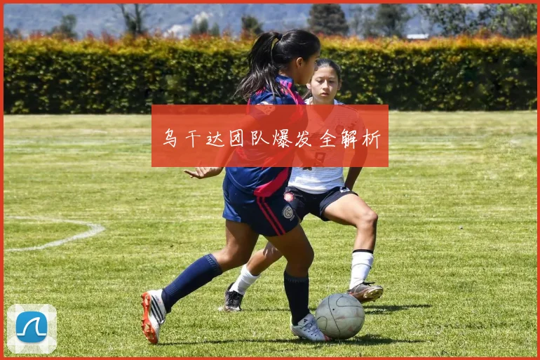 乌干达团队爆发全解析