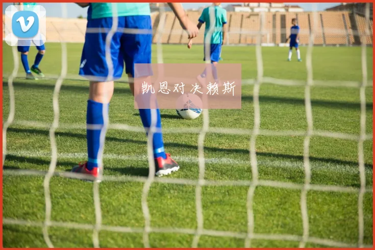 凯恩对决赖斯