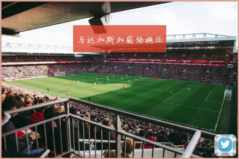 马达加斯加前场施压