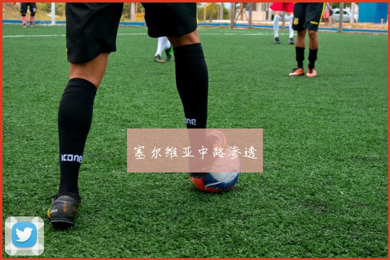 塞尔维亚中路渗透