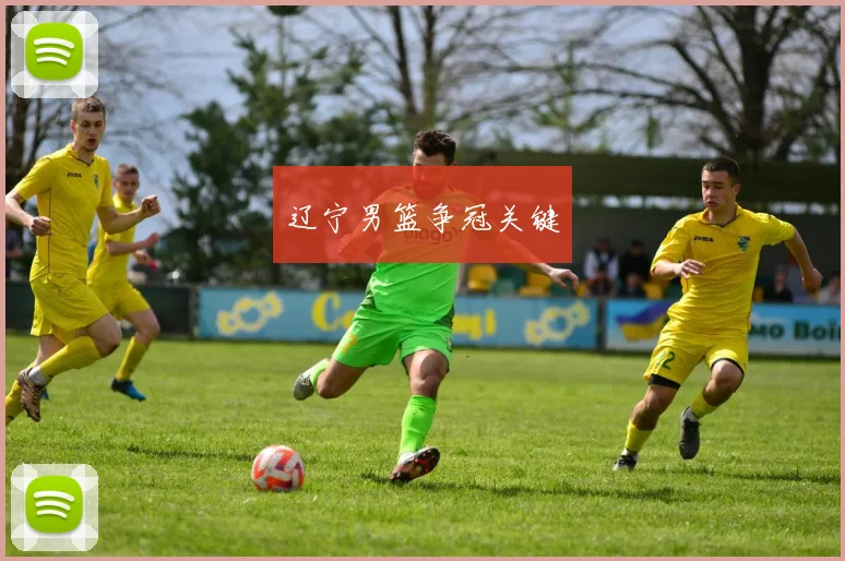 辽宁男篮争冠关键