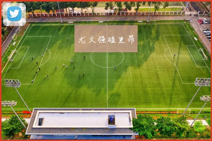 尤文强碰里昂