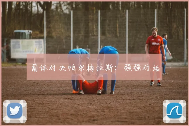 葡体对决帕尔梅拉斯：强强对话