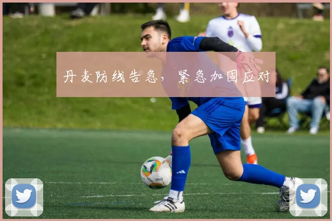 丹麦防线告急，紧急加固应对