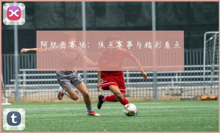 阿联酋赛场：焦点赛事与精彩看点