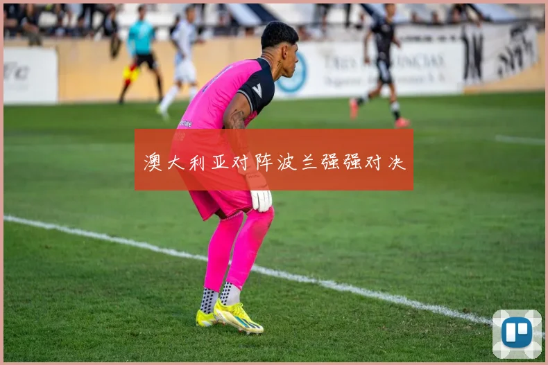 澳大利亚对阵波兰强强对决