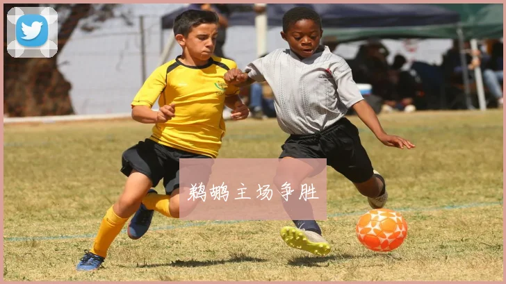 鹈鹕主场争胜