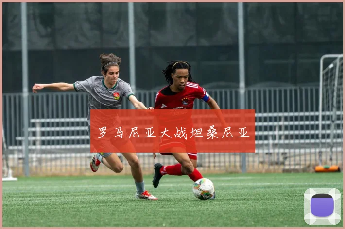 罗马尼亚大战坦桑尼亚