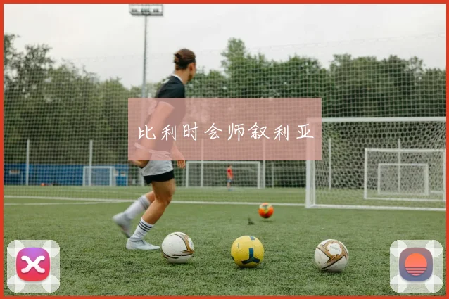 比利时会师叙利亚