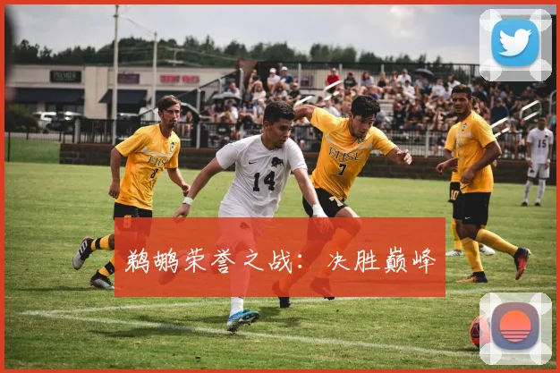鹈鹕荣誉之战：决胜巅峰