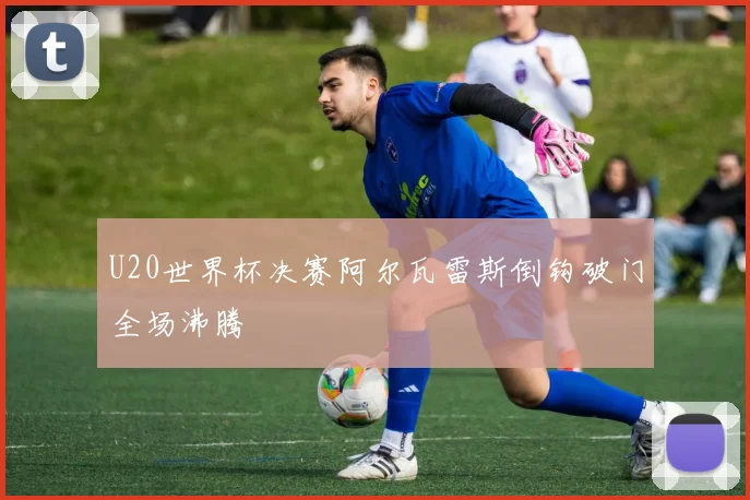 U20世界杯决赛阿尔瓦雷斯倒钩破门全场沸腾