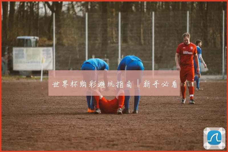 世界杯购彩避坑指南｜新手必看