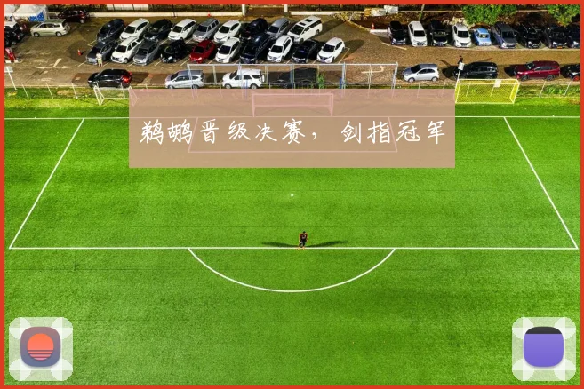 鹈鹕晋级决赛，剑指冠军