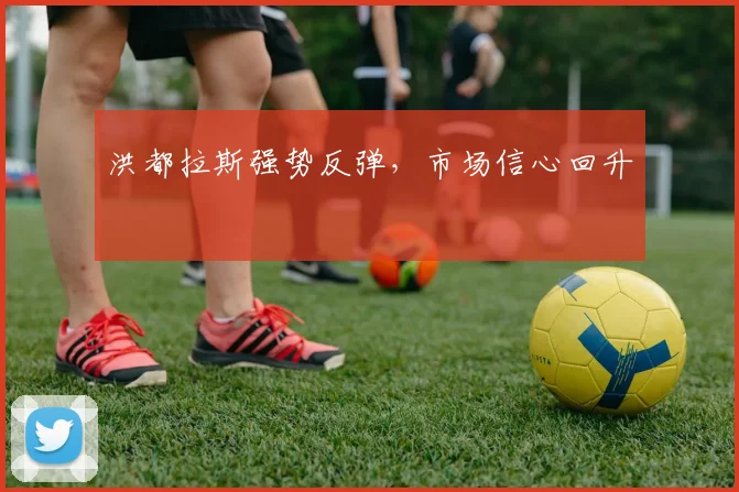 洪都拉斯强势反弹，市场信心回升