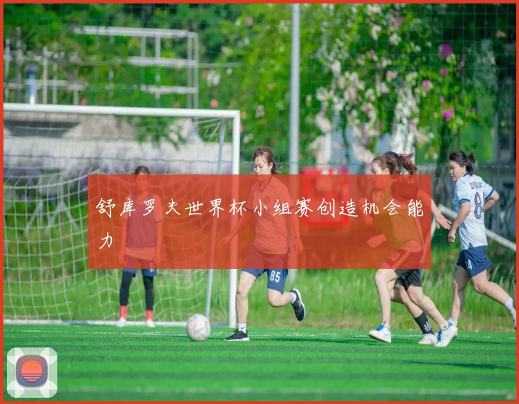 舒库罗夫世界杯小组赛创造机会能力