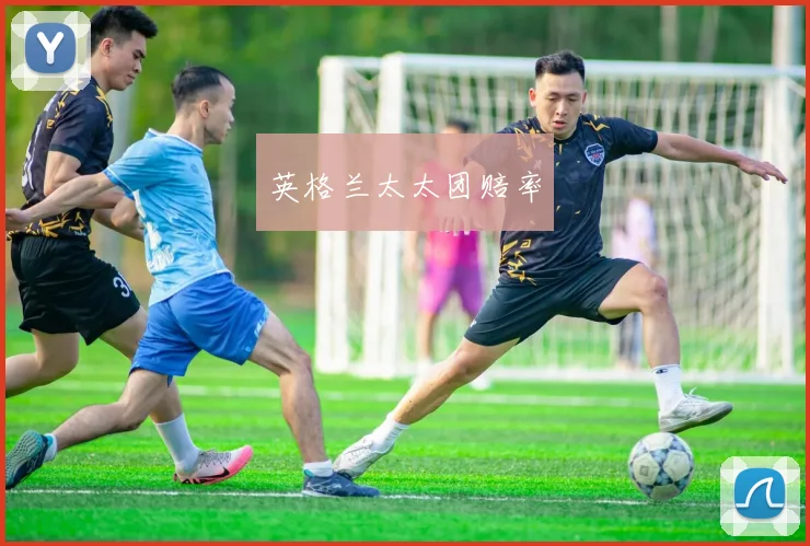 英格兰太太团赔率