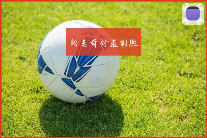 约基奇封盖制胜