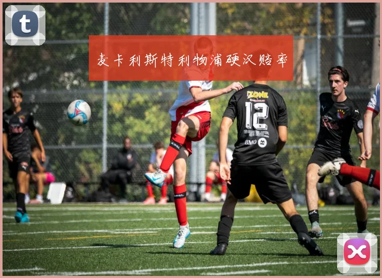 麦卡利斯特利物浦硬汉赔率