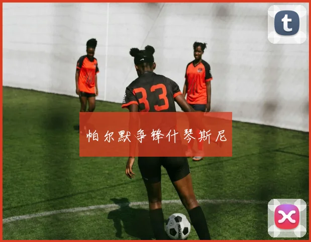 帕尔默争锋什琴斯尼