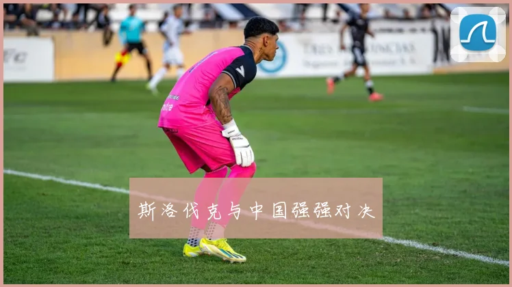 斯洛伐克与中国强强对决