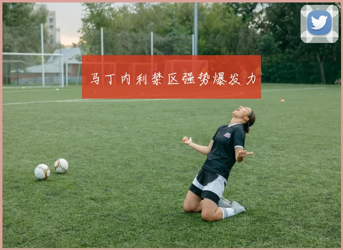 马丁内利禁区强势爆发力