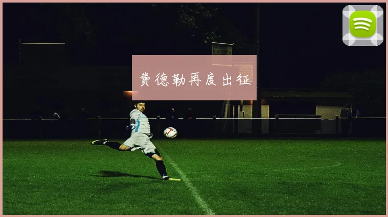 费德勒再度出征