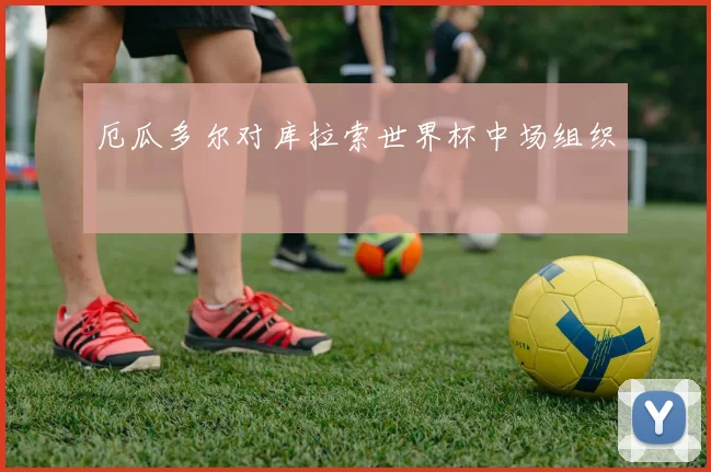 厄瓜多尔对库拉索世界杯中场组织