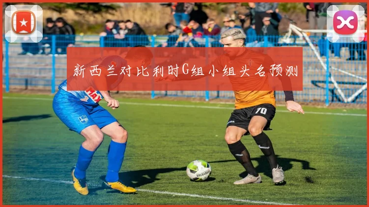 新西兰对比利时G组小组头名预测