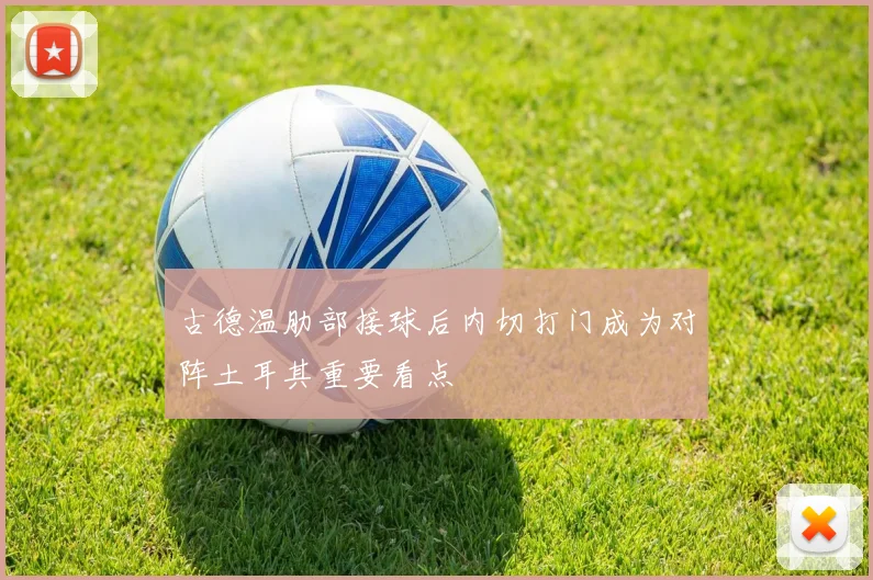 古德温肋部接球后内切打门成为对阵土耳其重要看点