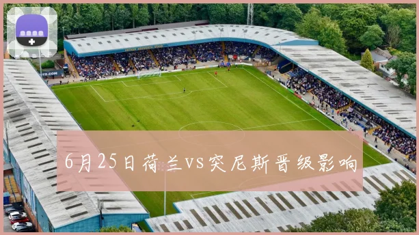 6月25日荷兰vs突尼斯晋级影响